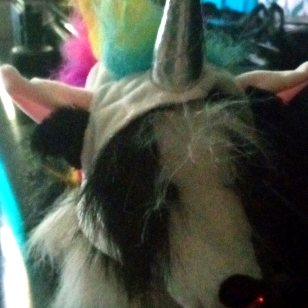 Small dogs unicorn Halloween hat